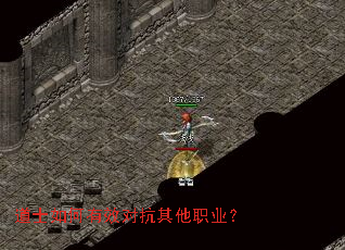 道士如何有效对抗其他职业? 道士如何有效对抗其他职业?