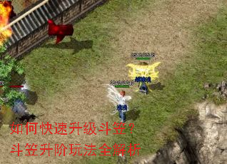 ��ο����������ң����������淨ȫ����