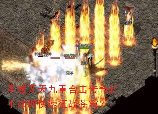 ʥ������غϻ�����������ο�����ս��񷣿