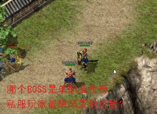 �ĸ�BOSS�ǵ�ְҵ����˽�������������ĳ�У�