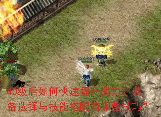 40������ο�������ս����װ��ѡ���뼼�ܴ�������Щ���ɣ�