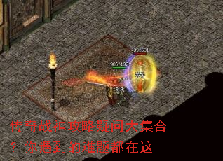 ����ս�������ʴ󼯺ϣ������������ⶼ����