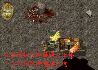 ����ս�������ʴ󼯺ϣ������������ⶼ����