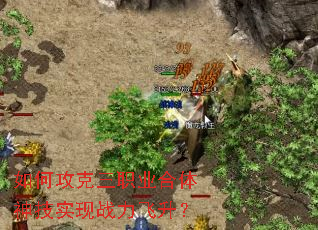 ��ι�����ְҵ������ʵ��ս��������