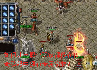 �������ְҵ��Ҷ����ڴ���˽����ӵ��ר�����