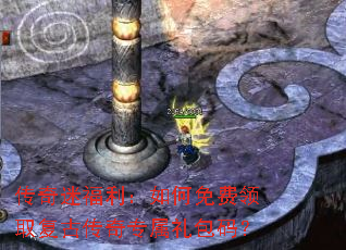 �����Ը�������������ȡ���Ŵ���ר������룿