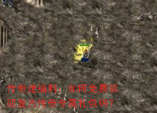 �����Ը�������������ȡ���Ŵ���ר������룿