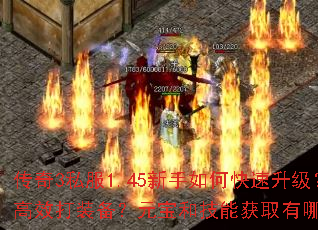 ����3˽��1.45������ο���������������Ч��װ����Ԫ���ͼ��ܻ�ȡ����Щ���ɣ�