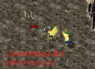 �����ݺ�����Ѫʯ�������������ɫս����