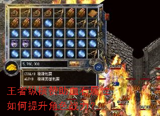 �����ݺ�����Ѫʯ�������������ɫս����