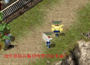 ��λ�ȡ����⴫�涥��װ����