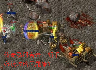 ����˽���ϻ������ֱض��������⼯��