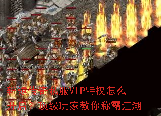 ��ԯ����˽��VIP��Ȩ��ô������������ҽ���ưԽ���