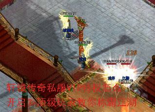 ��ԯ����˽��VIP��Ȩ��ô������������ҽ���ưԽ���