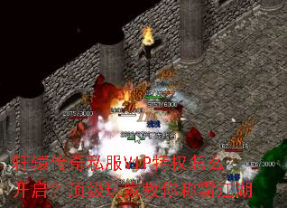 ��ԯ����˽��VIP��Ȩ��ô������������ҽ���ưԽ���