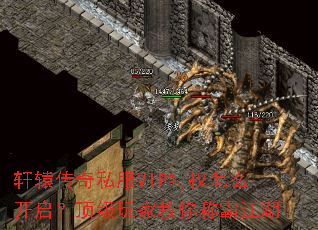 ��ԯ����˽��VIP��Ȩ��ô������������ҽ���ưԽ���