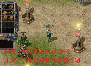 ��ԯ����˽��VIP��Ȩ��ô������������ҽ���ưԽ���