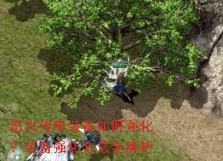 ŭ����װ�����ǿ����װ��ǿ������ȫ����