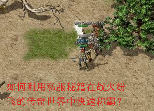 �������˽���ؼ���ս��׷ɵĴ��������п��ٳưԣ�