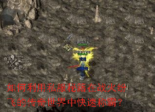 �������˽���ؼ���ս��׷ɵĴ��������п��ٳưԣ�