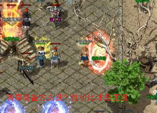 ����װ����ôѡ���Լ۱Ȳ�������