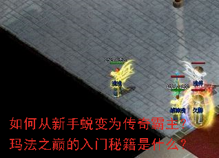 ��δ������ɱ�Ϊ����������귨֮�۵������ؼ���ʲô��