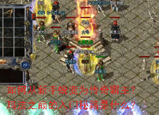 ��δ������ɱ�Ϊ����������귨֮�۵������ؼ���ʲô��