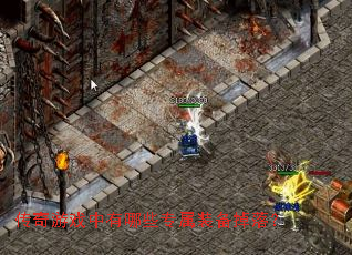 ������Ϸ������Щר��װ�����䣿