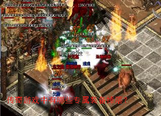 ������Ϸ������Щר��װ�����䣿