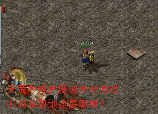 ��������ħ������Ϸ�еĻ�ȡ�ص������