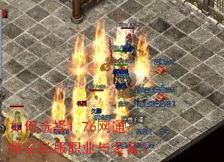 ���ѡ��1.76��ͨ��Ʒ˽��ְҵ��װ����