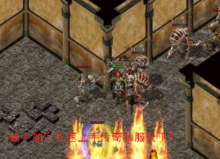 ������ο������ִ���˽�����£�