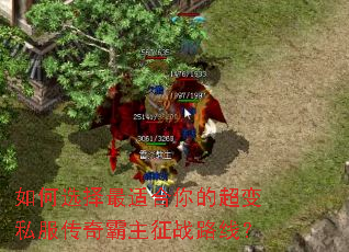 ���ѡ�����ʺ���ĳ���˽�����������ս·�ߣ�