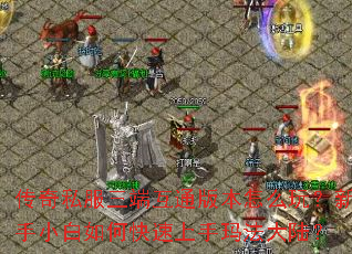 ����˽�����˻�ͨ�汾��ô�棿����С����ο��������귨��½��