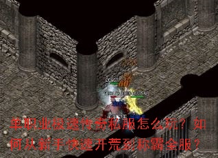 ��ְҵ���ٴ���˽����ô�棿��δ����ֿ��ٿ��ĵ��ư�ȫ����