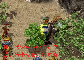 ��ο��ٻ�ȡ���飿��ʢ����˽����������