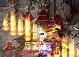 �¿�һ��1.76������ô�棿������ο��ٳ�Ϊ����