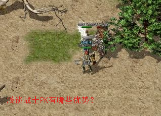 ǳ̸սʿPK����Щ���ƣ�