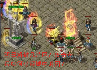 ���ս�⼸Ƭ���������ϱ�����ƽ�������ţ�