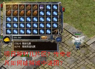 ���ս�⼸Ƭ���������ϱ�����ƽ�������ţ�