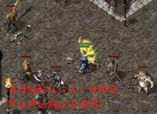 ���ս�⼸Ƭ���������ϱ�����ƽ�������ţ�