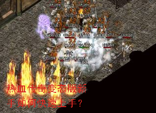 ��Ѫ�����̬��������ο������֣�