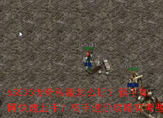 65535传奇私服怎么玩?新手如何快速上手?高手进阶攻略有哪些? 65535传奇私服怎么玩?新手如何快速上手?高手进阶攻略有哪些?