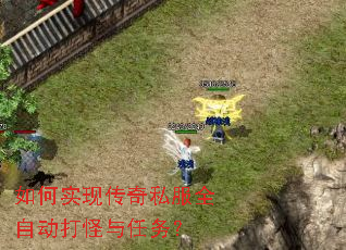 ���ʵ�ִ���˽��ȫ�Զ����������