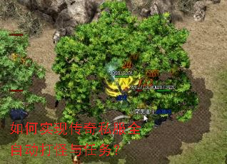 ���ʵ�ִ���˽��ȫ�Զ����������