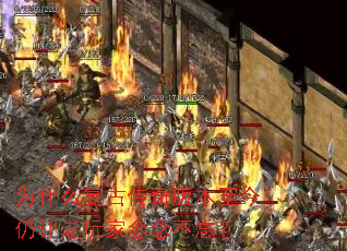 Ϊʲô���Ŵ���汾��������������������