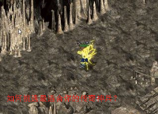 �����ѡ���ʺ���Ĵ��������