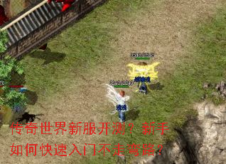 ���������·����⣿������ο������Ų�����·��