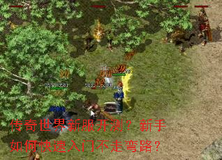 ���������·����⣿������ο������Ų�����·��