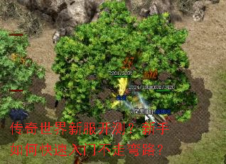 ���������·����⣿������ο������Ų�����·��